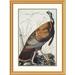 Global Gallery Wild Turkey by John James Audubon Framed Painting Print Metal | 40 H x 30 W x 1.5 D in | Wayfair DPF-197785-2030-102
