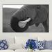 World Menagerie Solo Elephant - Wrapped Canvas Photograph Print Canvas in Gray | 18 H x 30 W x 1 D in | Wayfair 5F83629B06AB4C9CACE638D14635B192
