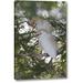 World Menagerie 'FL Cattle egrets in breeding plumage on branch' by Arthur Morris Giclee Art Print on Wrapped Canvas in Green/White | Wayfair