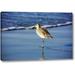 Breakwater Bay 'Sandpiper in the Surf I' by Alan Hausenflock Giclee Art Print on Wrapped Canvas Metal in Blue | 21 H x 32 W x 1.5 D in | Wayfair