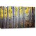 Winston Porter 'Birch Woods' by PhotoINC Studio Giclee Art Print on Wrapped Canvas Metal in Gray/Green | 20 H x 32 W x 1.5 D in | Wayfair