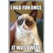 Grumpy Cat - Fun Wall Poster 22.375 x 34 Framed