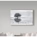 Trademark Fine Art 'Spring Mirror' Photographic Print on Wrapped Canvas in White | 12 H x 19 W x 2 D in | Wayfair 1X05549-C1219GG