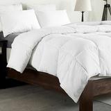 Latitude Run® All Season Down Alternative Comforter Polyester in White | 88 H x 68 W x 2 D in | Wayfair D6568B33E69D4659B440420B11D2621C