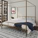 Novogratz Marion Metal Canopy Bed Metal in Yellow | 82.5 W x 78 D in | Wayfair 4195249N