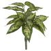 Vickerman 522127 - 11" Green Dieffenbachia Bush 3/Pk (FQ181601) Home Office Picks and Sprays