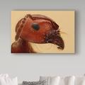 Trademark Fine Art 'Red Ant Portrait' Photographic Print on Wrapped Canvas Metal in Brown/Red | 22 H x 32 W x 2 D in | Wayfair 1X05755-C2232GG