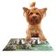 Kess eigene Debbra obertanec Napf Sole Masten Tisch-Sets für Hunde und Katzen Futterschüsseln, 24 von 15 Zoll, Holz