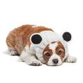 Zoo Kapuzenschal das Original Knit Panda Bear Dog Snood,