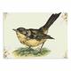 Kess eigene NL Designs Vintage Bird Nature Dog Tischset, 33 x 45,7 cm