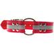 OmniPet Sunglo Reflective Ring In Center Dog Collar, Red, 1.5" x 25"