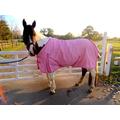 Cwell Equine neuen besten Qualität leicht Pink Pferdedecke/Regendecke ohne Füllung 600 Denier 100% wasserdicht, atmungsaktiv, 600 Denier (6 '6