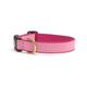 Up Country PKG-C-XL Pink Gingham Hundehalsband, Breit 1 inch, XL