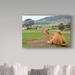 Ebern Designs 'Camel & His View' Photographic Print on Wrapped Canvas in Brown/Green | 16 H x 24 W x 2 D in | Wayfair