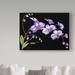 Trademark Fine Art 'Orchids Purple Black' Print on Wrapped Canvas in Green/Indigo/White | 18 H x 24 W x 2 D in | Wayfair ALI37522-C1824GG