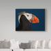 Trademark Fine Art 'Tufted Puffin' Graphic Art Print on Wrapped Canvas Metal in Black/Blue | 24 H x 32 W x 2 D in | Wayfair 1X05863-C2432GG