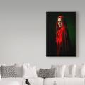 Trademark Fine Art 'Red Shawl Portrait' Photographic Print on Wrapped Canvas in Black/Green/Red | 24 H x 16 W x 2 D in | Wayfair 1X07274-C1624GG