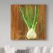 Trademark Fine Art 'Fennel Centered' Acrylic Painting Print on Wrapped Canvas in Brown/Green/White | 18 H x 18 W x 2 D in | Wayfair