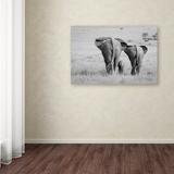 World Menagerie 'Three Butts ' Photographic Print on Wrapped Canvas in Black/White | 12 H x 19 W x 2 D in | Wayfair