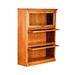 Loon Peak® Mcintosh Barrister Bookcase Wood in Black | 49 H x 35 W x 13 D in | Wayfair B04DE13D88764AC1B92762A0C30A53EA