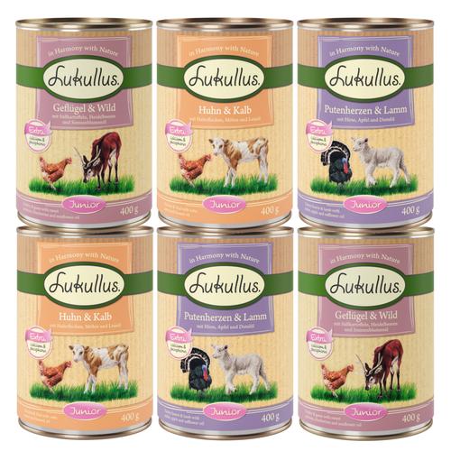 24 x 400g Junior Naturkost Mix Lukullus Hundefutter nass