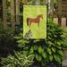 Caroline's Treasures Arabian Horse Check 2-Sided Polyester 15 x 11 in. Garden Flag in Green | 15 H x 11 W in | Wayfair BB7737GF