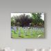 Winston Porter San Antonio Cemetery by Audrey - Photograph Print on Canvas in Gray/Green | 14 H x 19 W x 2 D in | Wayfair