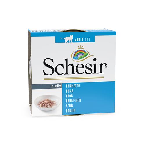 24x85g in Gelee Thunfisch Schesir Katzenfutter nass