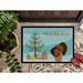 The Holiday Aisle® Genevieve Bronze Turkey Christmas Non-Slip Outdoor Door Mat Synthetics | Rectangle 1'6 x 2'3" | Wayfair