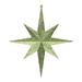 Vickerman 513705 - 12" Lime Glitter Bethlehem Star Christmas Tree Ornament (2 pack) (M167473)
