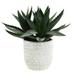 Vickerman 523865 - 14" Green Succulent in Concrete Gray Pot (FE181001) Home Office Succulents