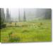 Millwood Pines 'Canada, Bc, Revelstoke Np Misty Meadow Scenic' Photographic Print on Wrapped Canvas in Gray/Green | 10 H x 16 W x 1.5 D in | Wayfair