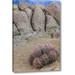 Union Rustic 'Ca, Alabama Hills Barrel Cactus & Boulders' Photographic Print on Wrapped Canvas in Gray | 16 H x 11 W x 1.5 D in | Wayfair