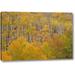 Millwood Pines CO, White River NF Aspen Grove by Don Grall - Photograph Print on Canvas in Green/Yellow | 10 H x 16 W x 1.5 D in | Wayfair