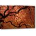 World Menagerie Oregon, Portland Japanese Maple by Don Paulson - Photograph Print on Canvas in Black/Red | 16 H x 24 W x 1.5 D in | Wayfair