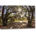 World Menagerie Mexico, Tecate Oak Trees At Rancho La Purerta by Don Paulson - Photograph Print on Canvas in Brown/Green | Wayfair