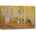 Winston Porter 'Co, Gunnison Nf, Ohio Pass Aspen Forest' Photographic Print on Wrapped Canvas in Brown/Green/Yellow | Wayfair