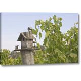 Winston Porter Or, Willamette Valley Birdhouse by Don Paulson - Photograph Print on Canvas Metal in Blue/Green | 21 H x 32 W x 1.5 D in | Wayfair