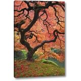 World Menagerie OR, Portland Japanese Maple Trees by Don Paulson - Photograph Print on Canvas in Brown/Green/Red | 16 H x 10 W x 1.5 D in | Wayfair