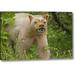 Millwood Pines 'Canada, Bc, Princess Royal Is Spirit Bear Mask' Photographic Print on Wrapped Canvas in Brown/Green | 10 H x 16 W x 1.5 D in | Wayfair