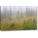 Millwood Pines 'Canada, Bc, Revelstoke Np Misty Meadow Scenic' Photographic Print on Wrapped Canvas in Gray/Green | 21 H x 32 W x 1.5 D in | Wayfair