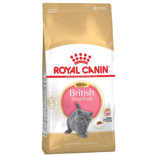 2x10kg British Shorthair Kitten Royal Canin Katzenfutter trocken Großgebinde