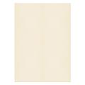 Blake Premium Business 61688 Papier Creme Wove SRA2 450 x 640 mm 120 g/m² | 250 Stück