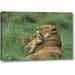 World Menagerie Tanzania, Ngorongoro Crater African Lion, & Cub by Dave Welling - Wrapped Canvas Photograph Print Canvas in Brown/Green | Wayfair