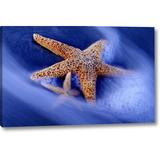 Highland Dunes 'SC, Hilton Head Island Two Starfish on Beach' Graphic Art Print on Wrapped Canvas in Blue/Yellow | 16 H x 24 W x 1.5 D in | Wayfair