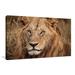 World Menagerie 'King of The Wild II' Photographic Print Canvas in Yellow | 28 H x 48 W x 1.5 D in | Wayfair 77655AD6F17D45D493AC05D018BD0FD5