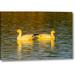 Winston Porter 'New Mexico, Bosque Del Apache NWR Snow Geese' Photographic Print on Wrapped Canvas in Yellow | 11 H x 16 W x 1.5 D in | Wayfair