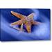 Highland Dunes 'SC, Hilton Head Island Two Starfish on Beach' Graphic Art Print on Wrapped Canvas in Blue/Yellow | 10 H x 16 W x 1.5 D in | Wayfair