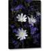 Winston Porter 'CA, Anza-Borrego Chicory & Phacelia Flowers' Photographic Print on Wrapped Canvas in Blue/White | 32 H x 21 W x 1.5 D in | Wayfair