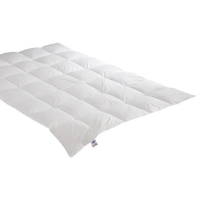 Badenia »Irisette Nora« Daunendecke warm / 155x220 cm / 910g Image
